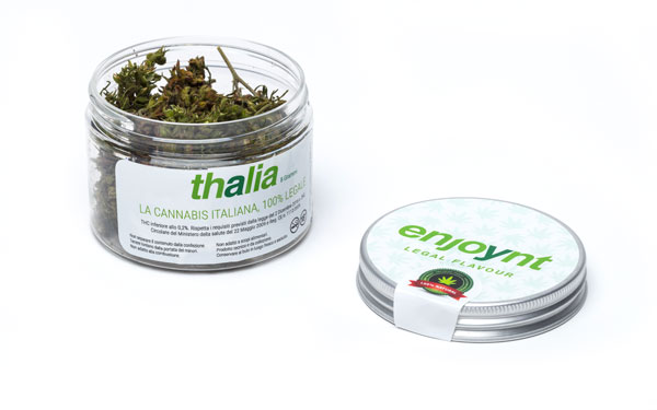 thalia4